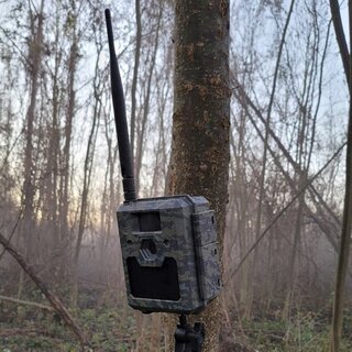 ICU CAM5 4G - LTE wireless wildlife camera incl. 4000 coins & SD card