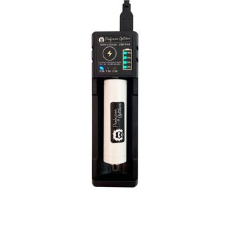 Professor Optiken universal charger for lithium-ion batteries, 0.5-2A - 1-fold